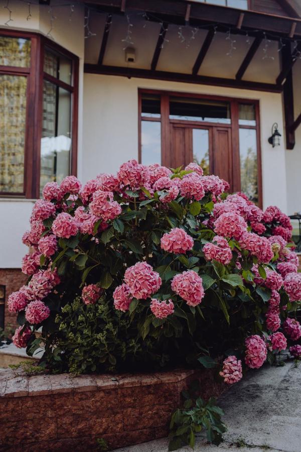 Vila Missy เดวา ภายนอก รูปภาพ